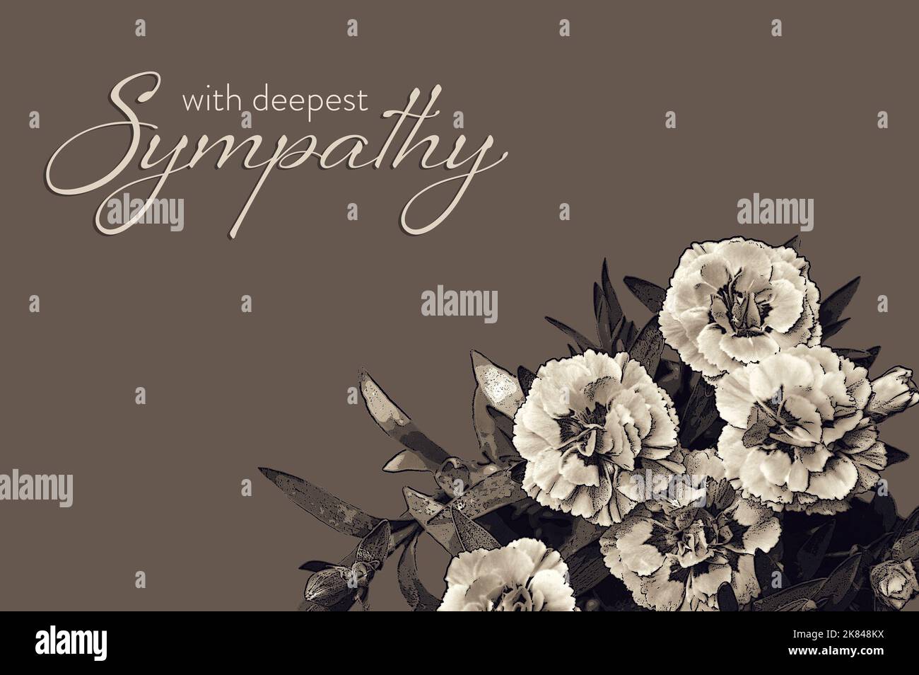 Sympathy card with white carnation illustration Stock Photo