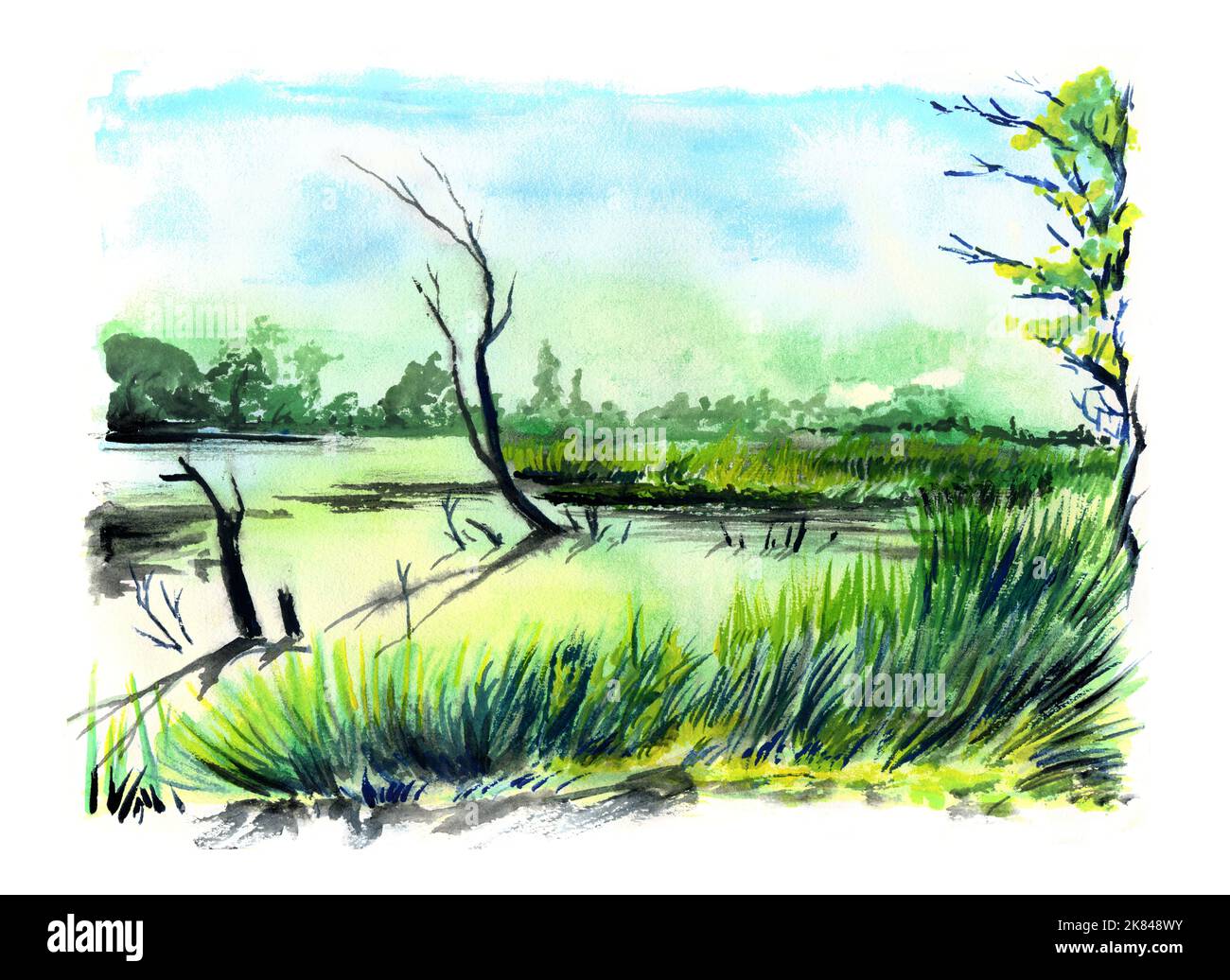 Lost lake. Watercolor landscape with a view of the summer lake. Stock Photo