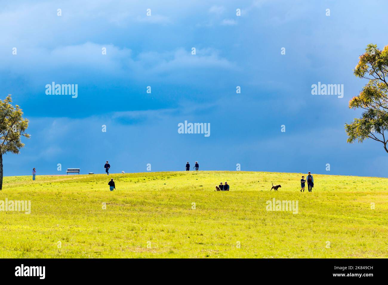 Aug 7, 2022 Sydney Park, Alexandria, Sydney, Australia: With dark