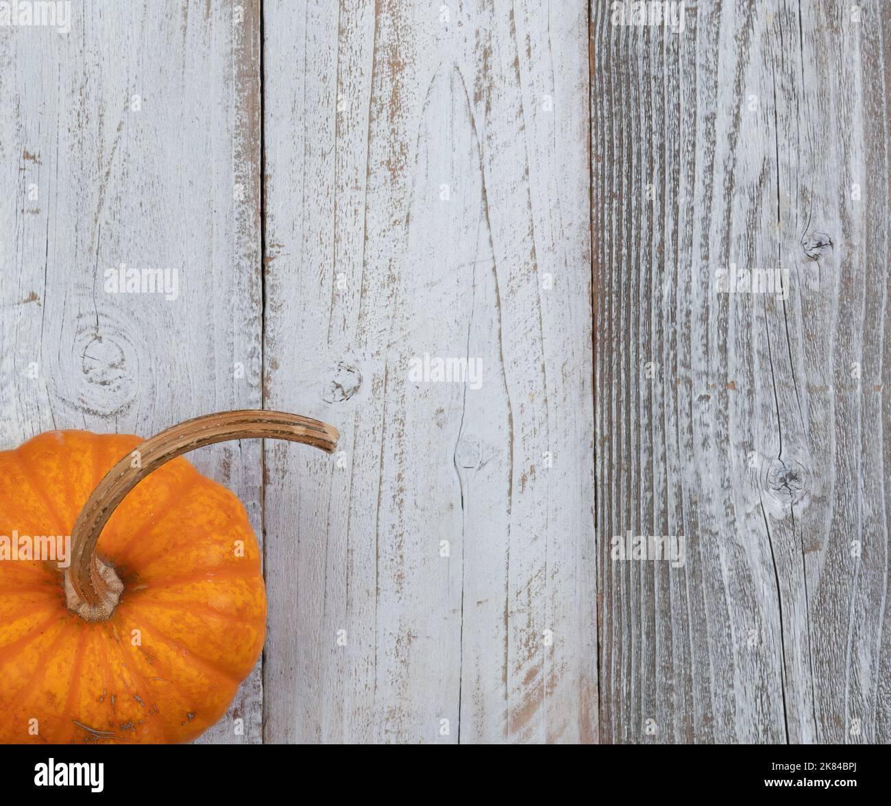 Autumn Or Fall Pumpkin Over White Rustic Wood Background In Vertical