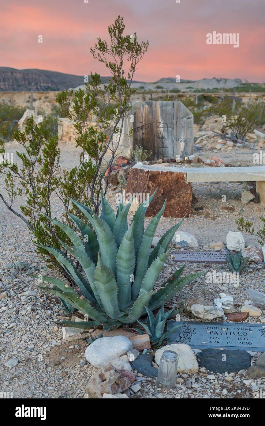Terlingua, Texas. Agave Growing on Recent Graves in Terlingua Cemetery, dating from early 1900s, still in use. Stock Photo