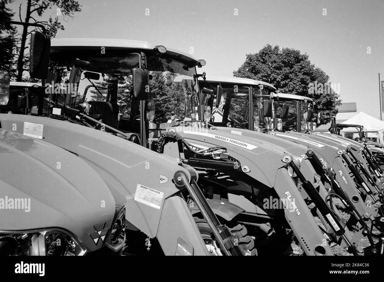 A row of Massey Ferguson tracktors on display at a country fair in sunlight. Image captured on analog black and white film. Stock Photo