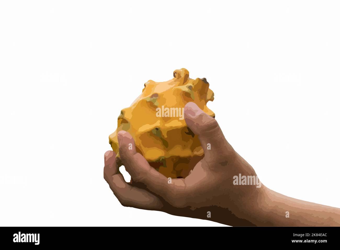 Planta sana hi-res stock photography and images - Alamy