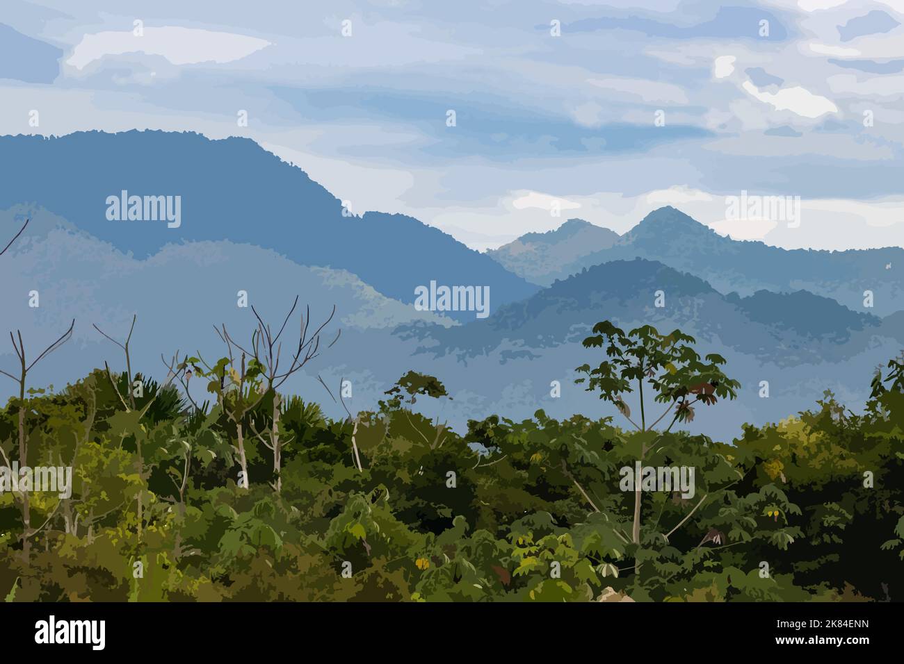 Alto Mayo is the place where one of the best coffees in the world is grown; it is a place with an excellent climate and full of biodiversity. Stock Photo