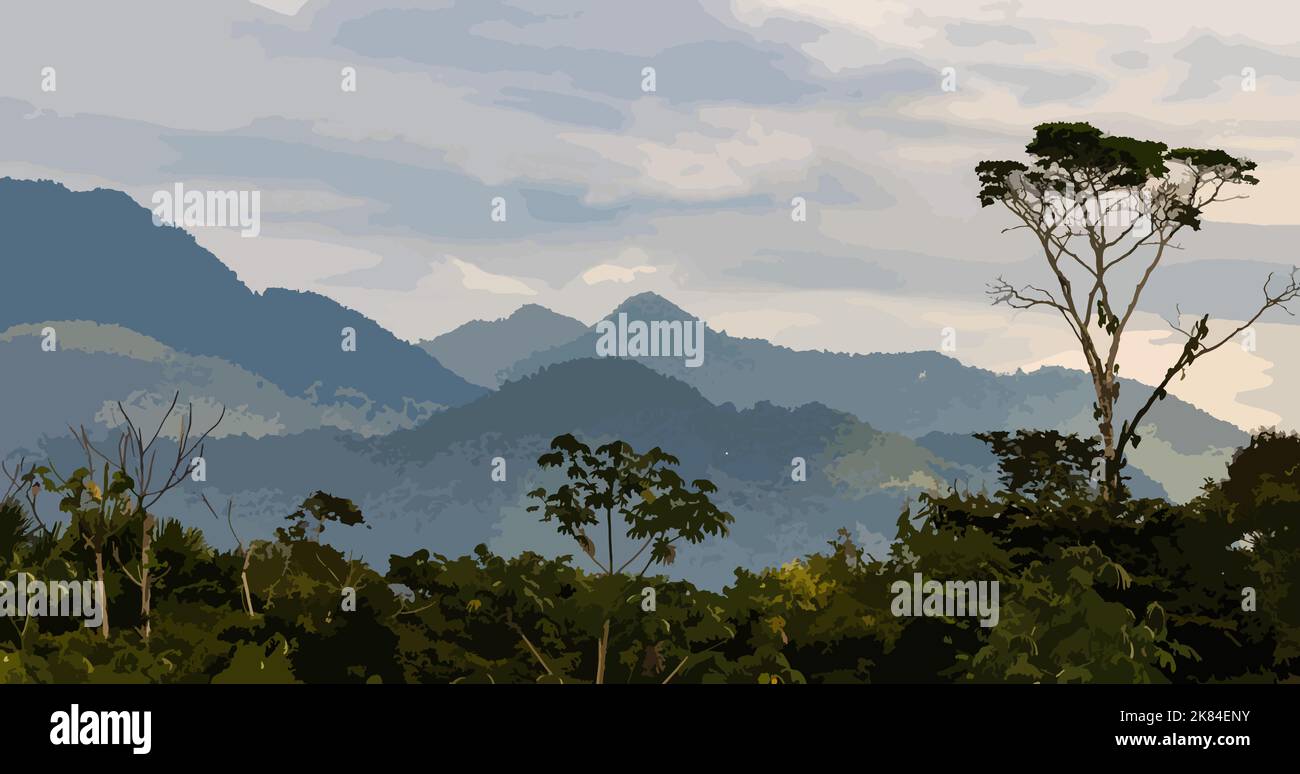 Alto Mayo is the place where one of the best coffees in the world is grown; it is a place with an excellent climate and full of biodiversity. Stock Photo
