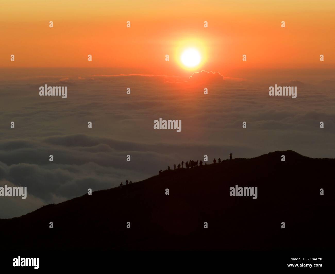 Aerial view of mountains in orange clouds at sunset in summer. Hehuan Mountain, Taiwan. Stock Photo