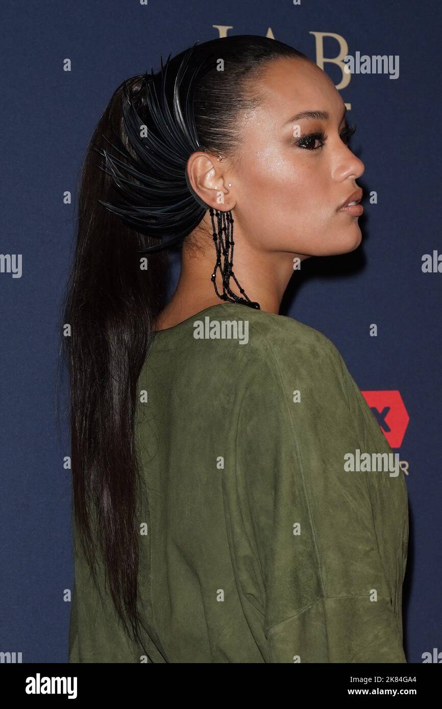 New York, NY, USA. 20th Oct, 2022. Lameka Fox at arrivals for DKMS Gala