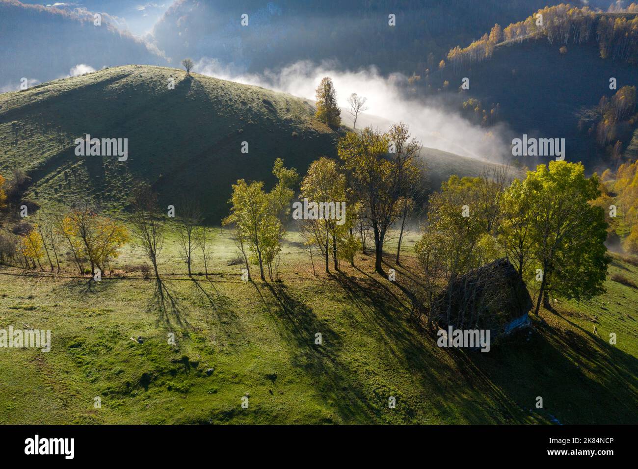 Aerial view of autumn countryside farm, with abandoned wooden houses ...