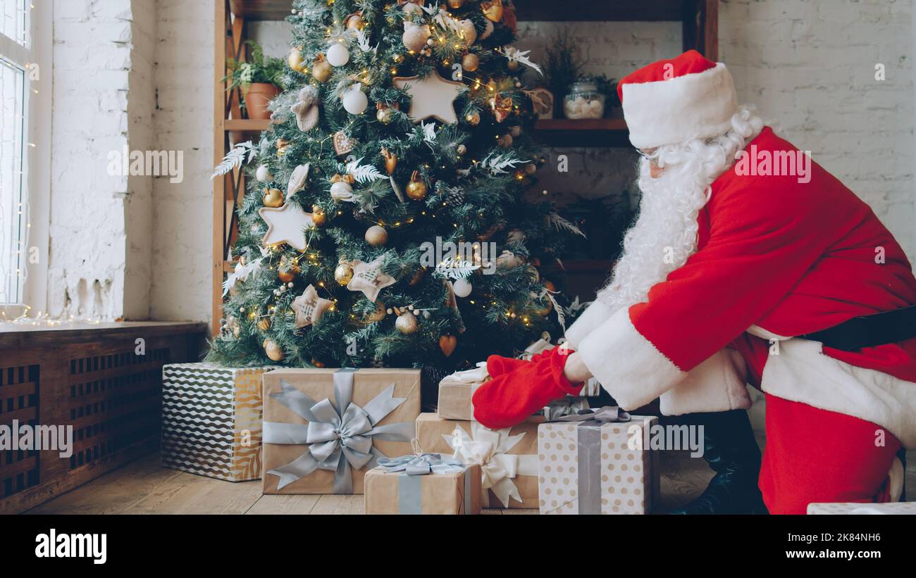 Santa Claus in traditional outfit is putting gifts under Christmas tree ...
