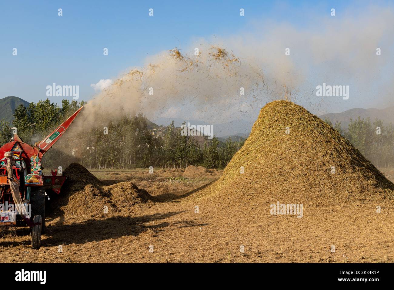 MALAKAND DIVISION , KPK, PAKISTAN, October, 07, 2022: Harvester machine is harvesting ripe rice crop in the fields. Rice straw flowing in a agricultur Stock Photo
