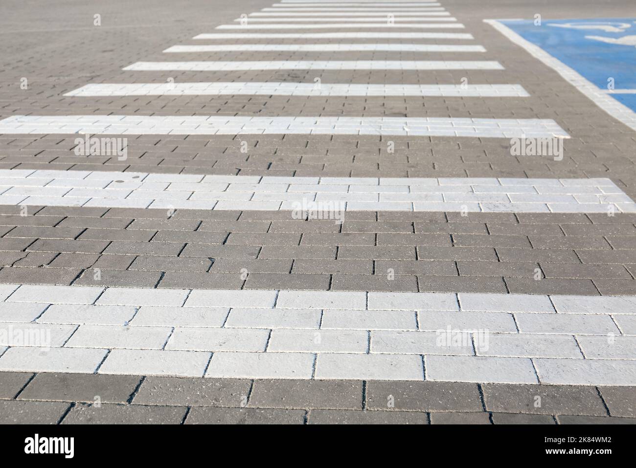 Zebra crossing on parking lot Stock Photo Alamy