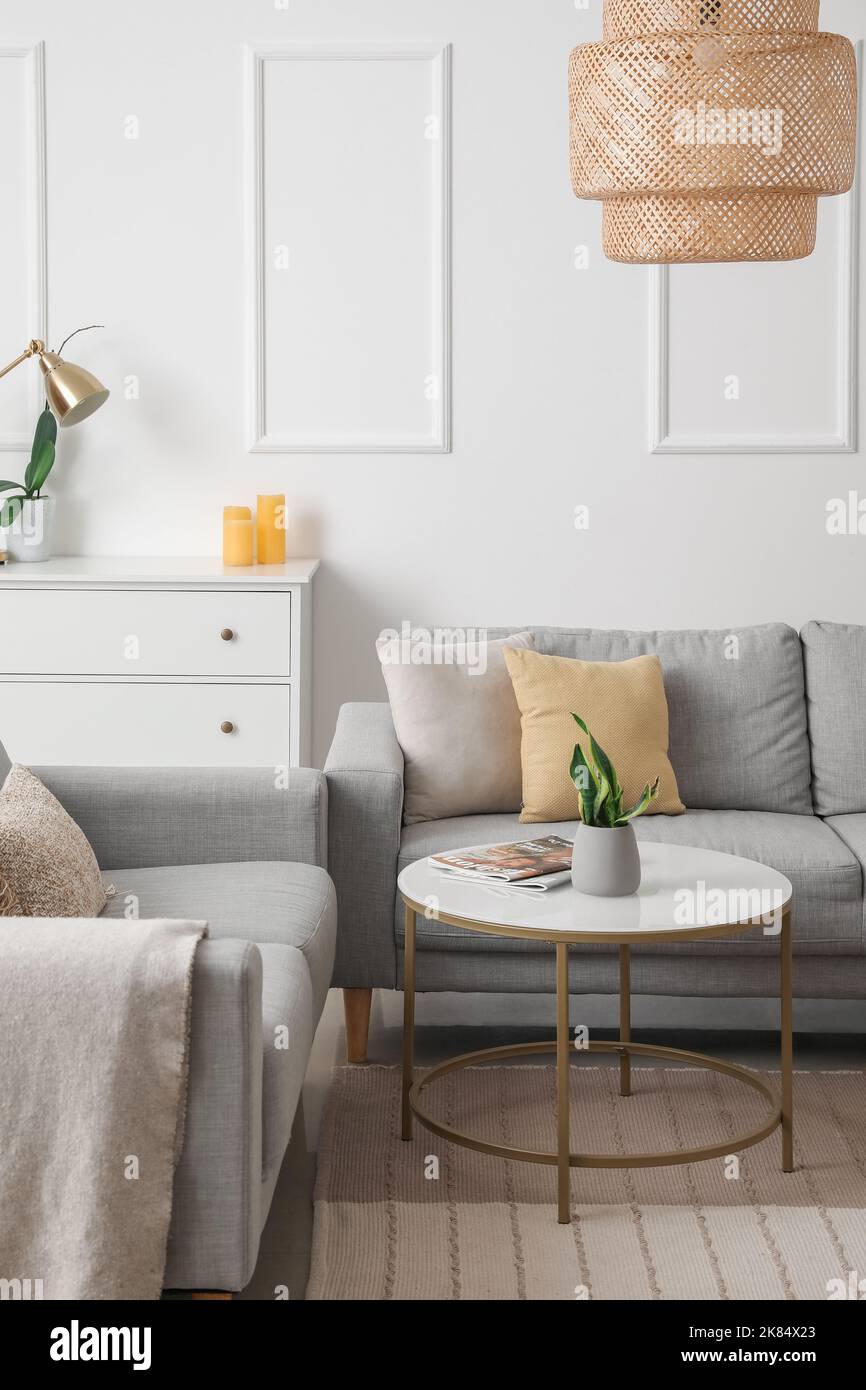 Interior of light living room with grey sofas and table Stock Photo - Alamy