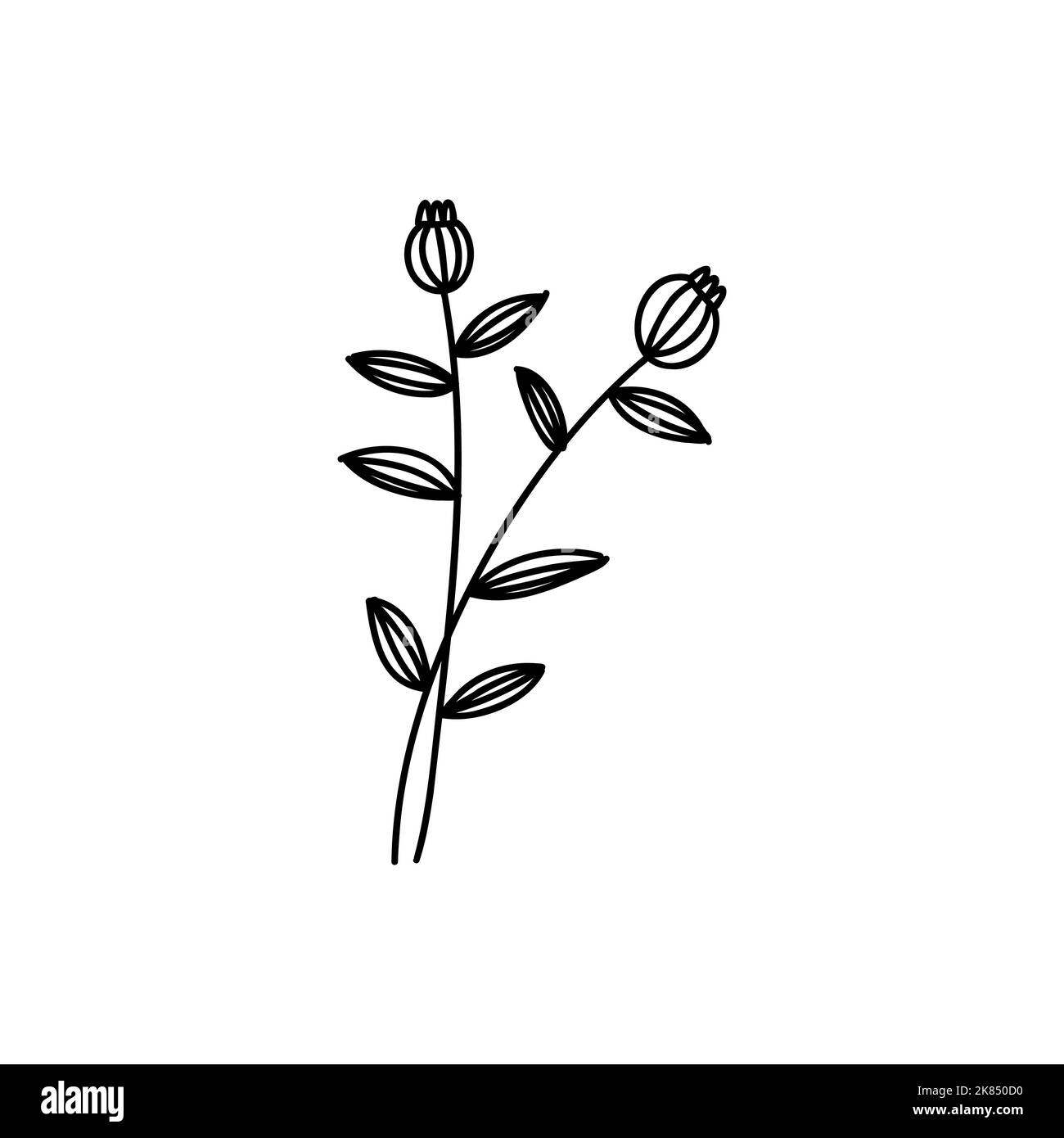 Doodle flower tattoo. Outline floral sketches. Vector hand drawn
