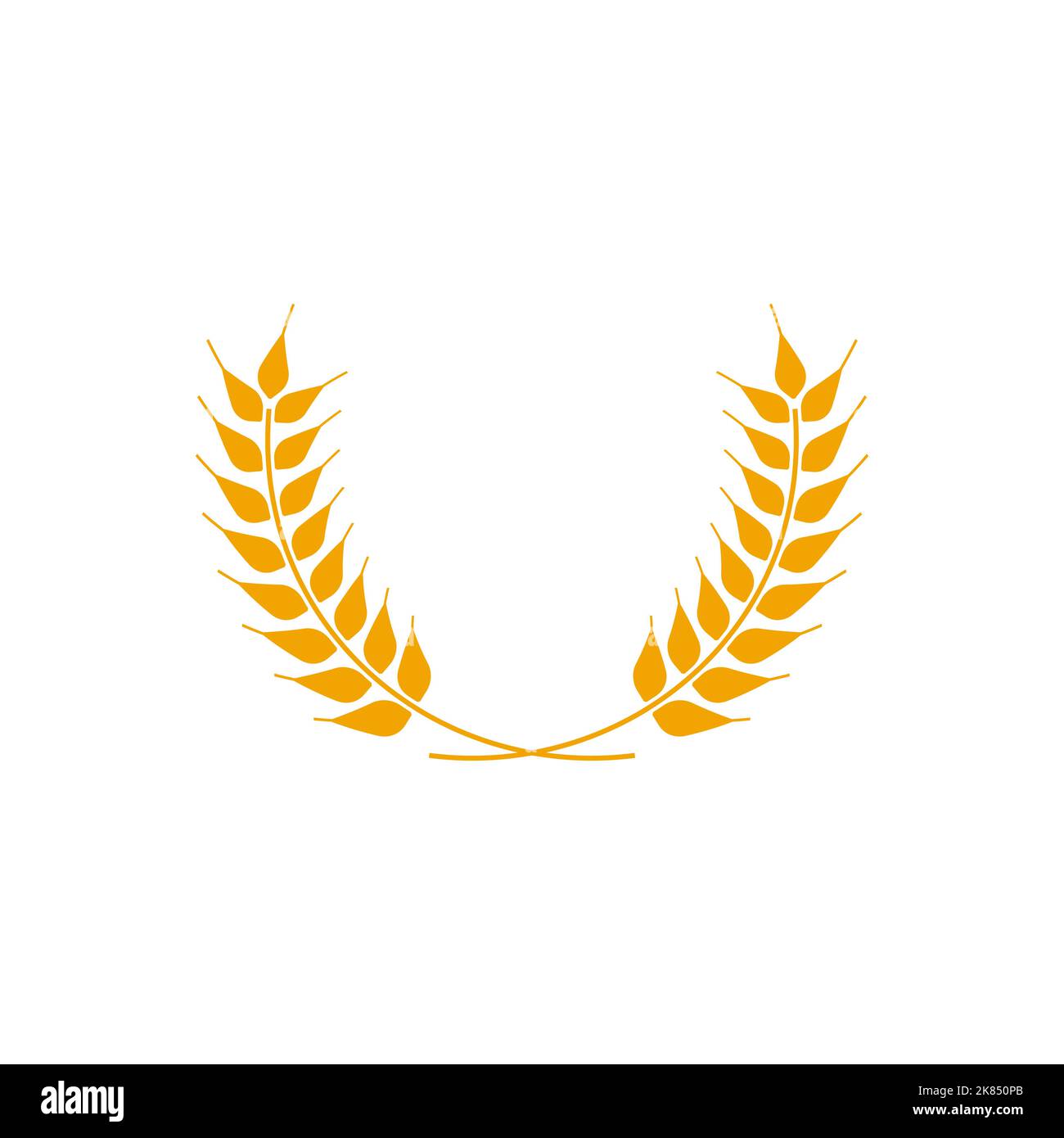 Wheat wreaths logo. Wheat ear icon. Vector agriculture ears symbol ...