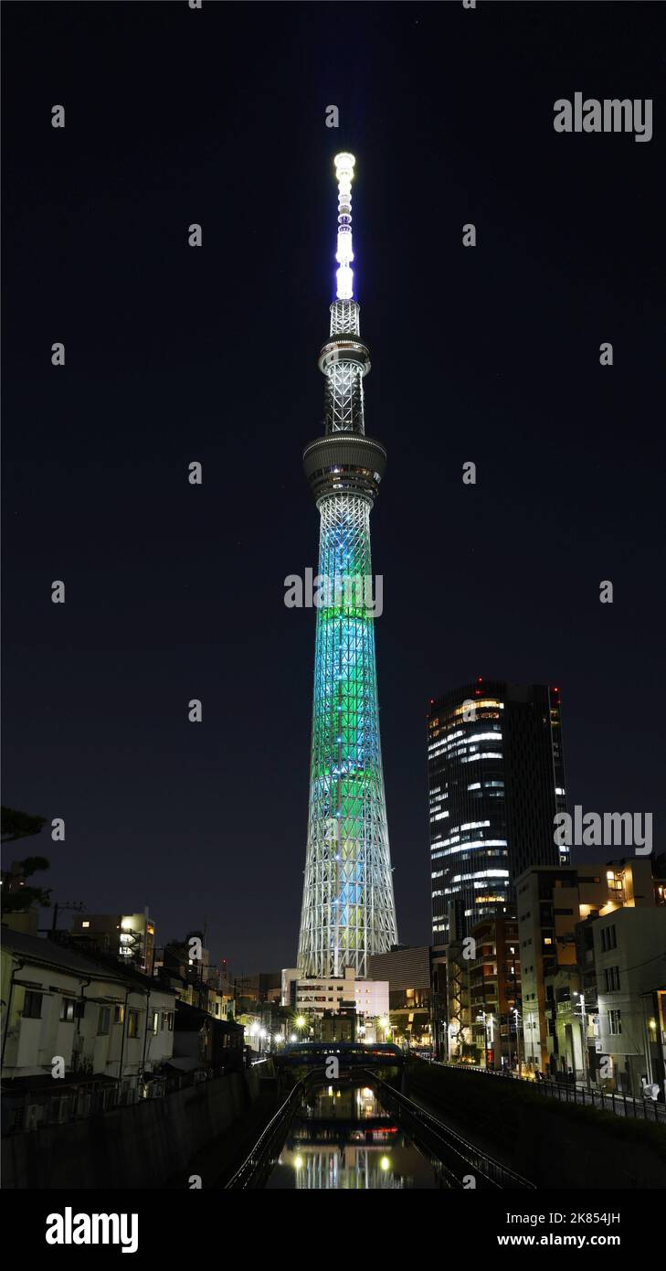 NEWS 10th Anniversary Tokyo in Dome : Dome初回仕様 NEWS⁄NEWS