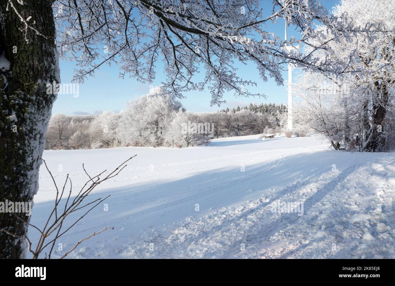 Strom im wald hi-res stock photography and images - Alamy