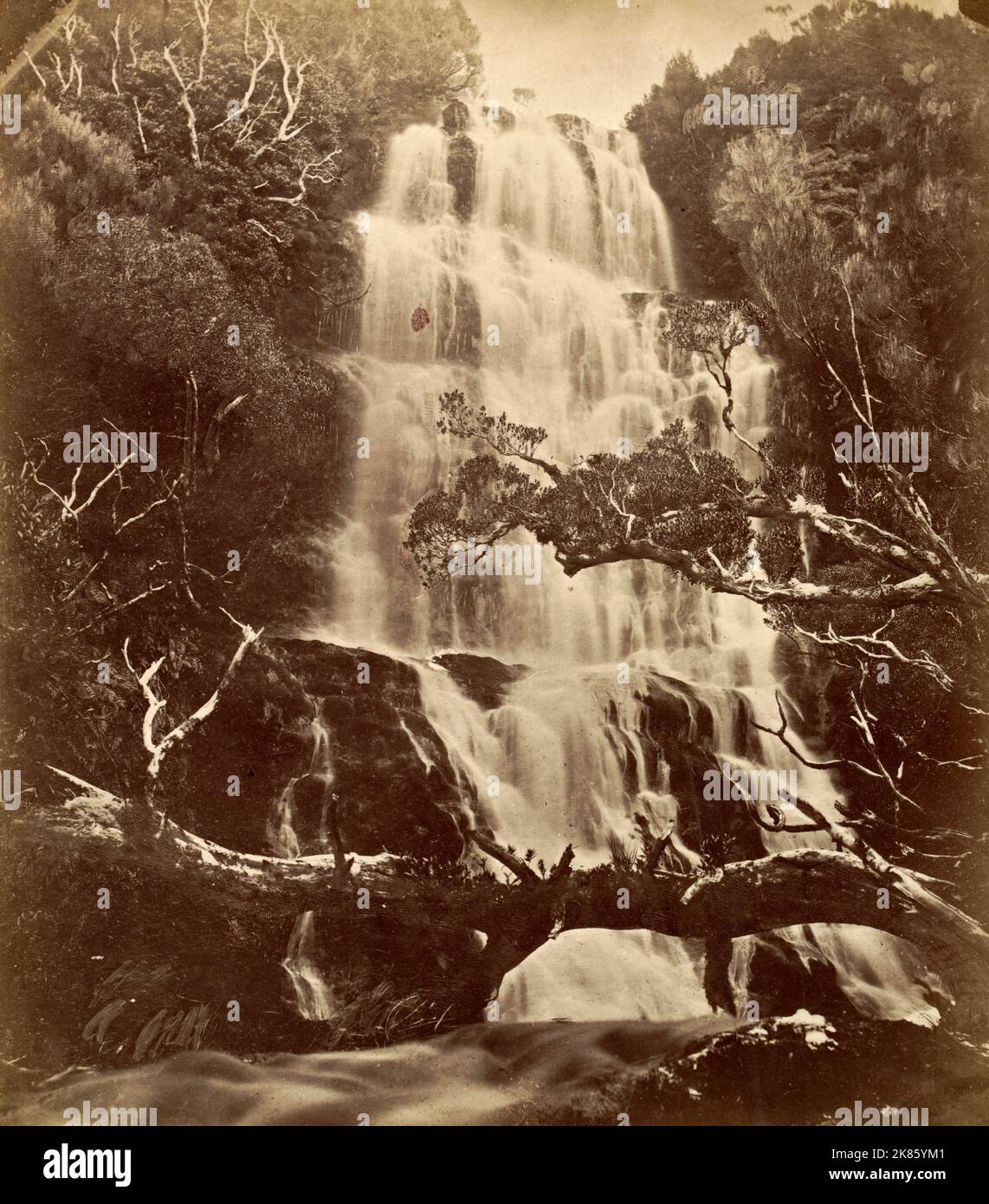 Waterfall at Port Ross, Auckland Islands for the German scientific expedition. by Dr G. Wolfram, 1875 Stock Photo
