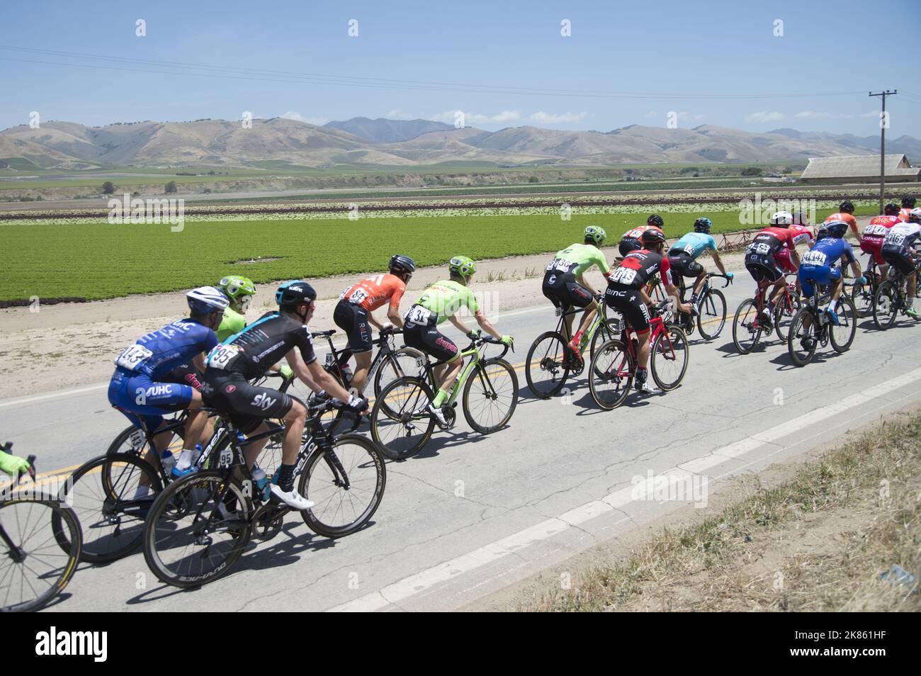 Peloton passes lettuce fields near Santa Maria, CA Stock Photo Alamy
