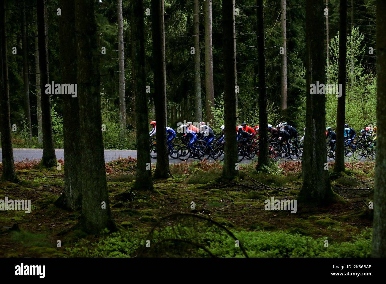 The race makes its way though the thick woods of the Ardennes Stock Photo