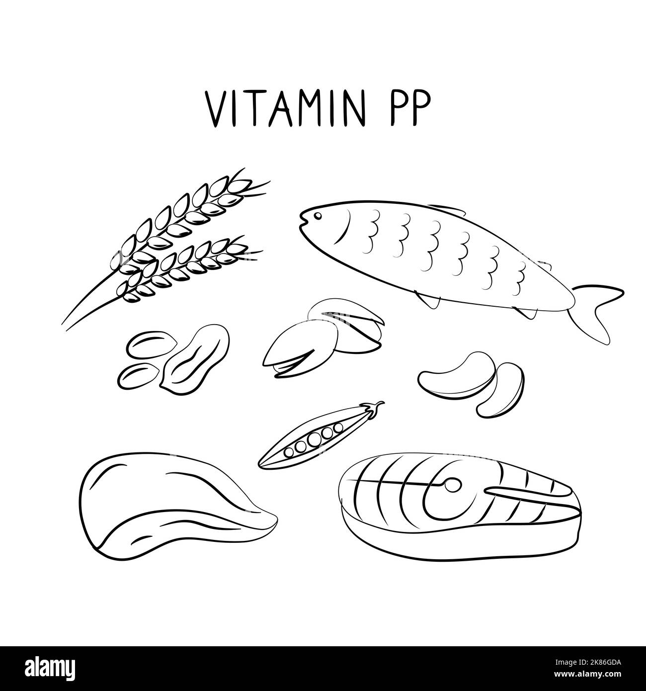 Vitamin B3 Niacinamide Vitamin PP niacin Nicotinamide. Groups of