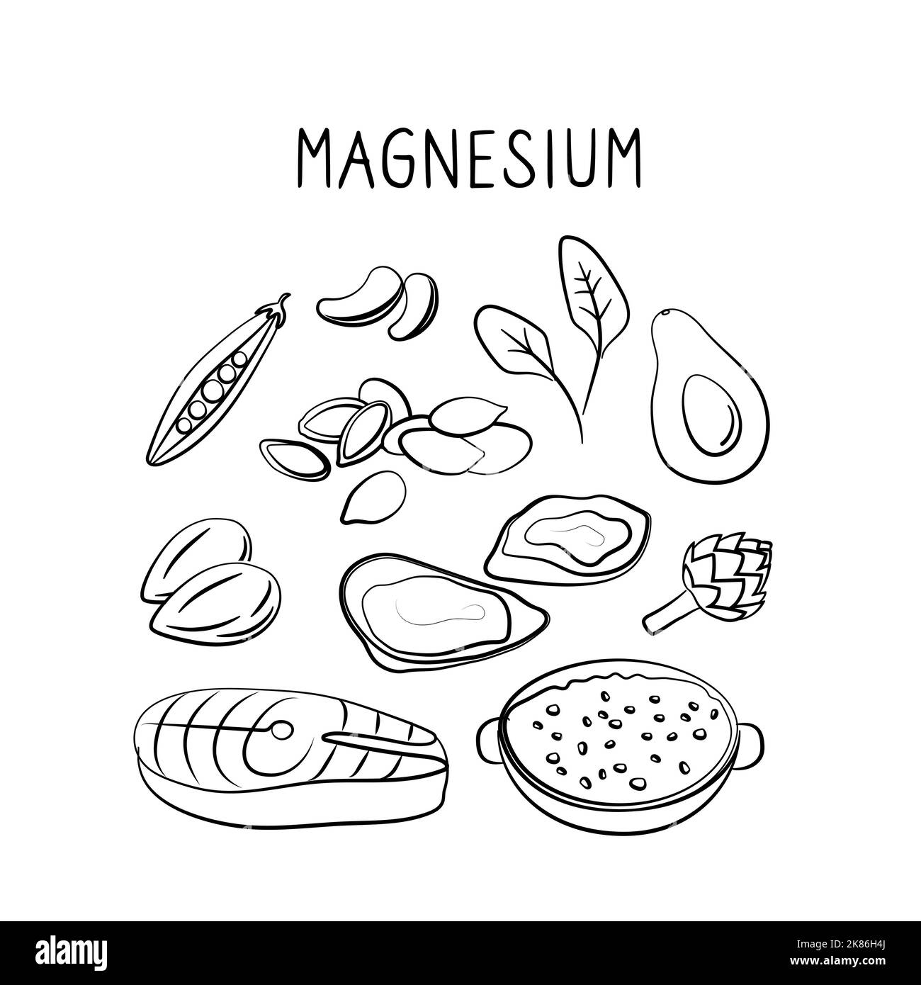 Magnesium-containing food. Groups of healthy products containing vitamins and minerals. Set of fruits, vegetables, meats, fish and dairy. Stock Vector