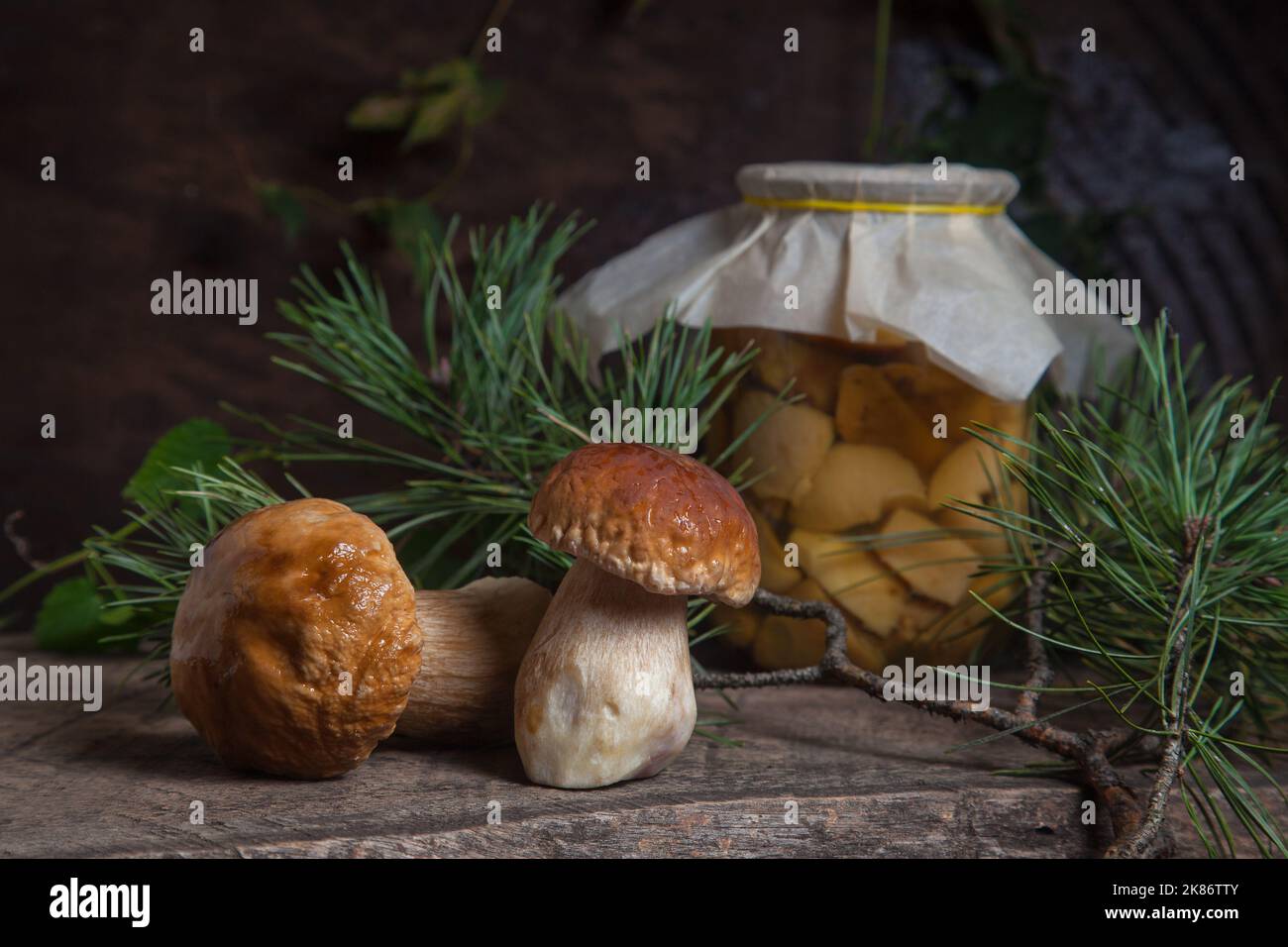 Crop of forest edible mushrooms. Composition of two porcini mushrooms