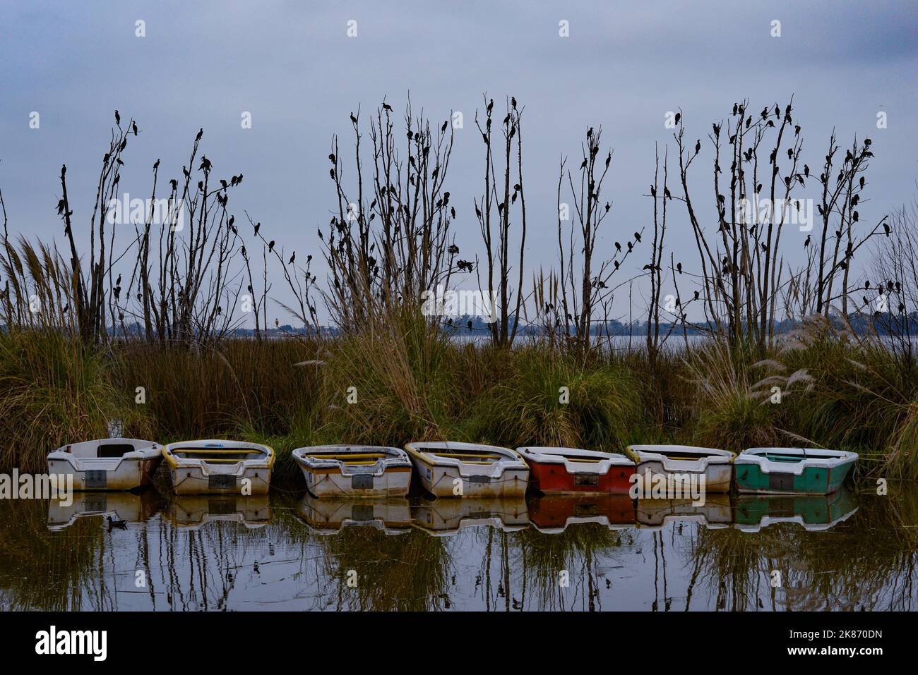 Surface boats hi-res stock photography and images - Alamy