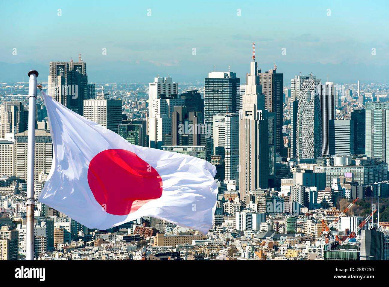 Panoramic view of Tokyo and Japanese flag, Japan Stock Photo Alamy