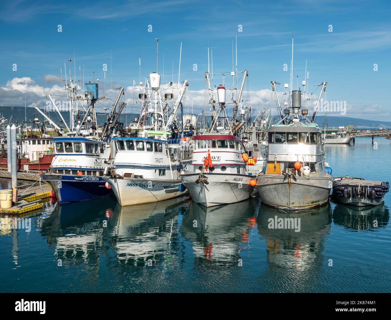 Commercial fishing boats of all kinds and sizes in Homer Harbor in Kachemak Bay, Kenai Peninsula, Alaska, United States of America, North America Stock Photo
