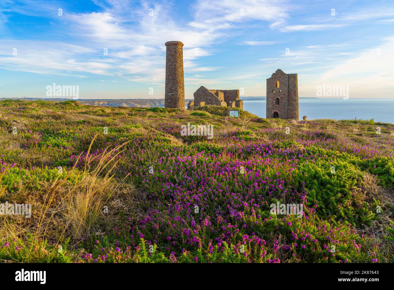 Heather And Wheal Coates UNESCO World Heritage Site Cornwall England Heather And Wheal Coates UNESCO World Heritage Site Cornwall England