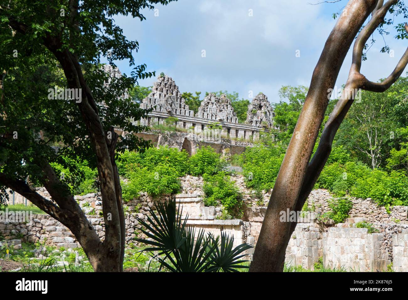 The Maya archeological site of Uxmal in Yucatan, Mexico. Mayan ruins with the House of the Doves encroached by the jungle Stock Photo