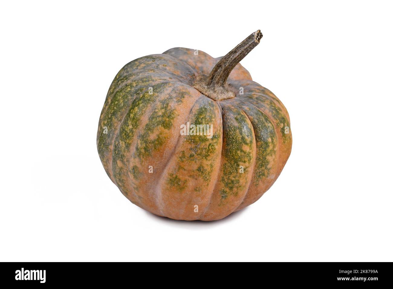 Green and orange 'Musquee de Provence' pumpkin on white background Stock Photo