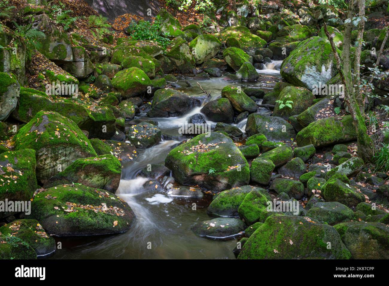 Small rapids in Padley Gorge in the Peak District of Derbyshire Stock Photo