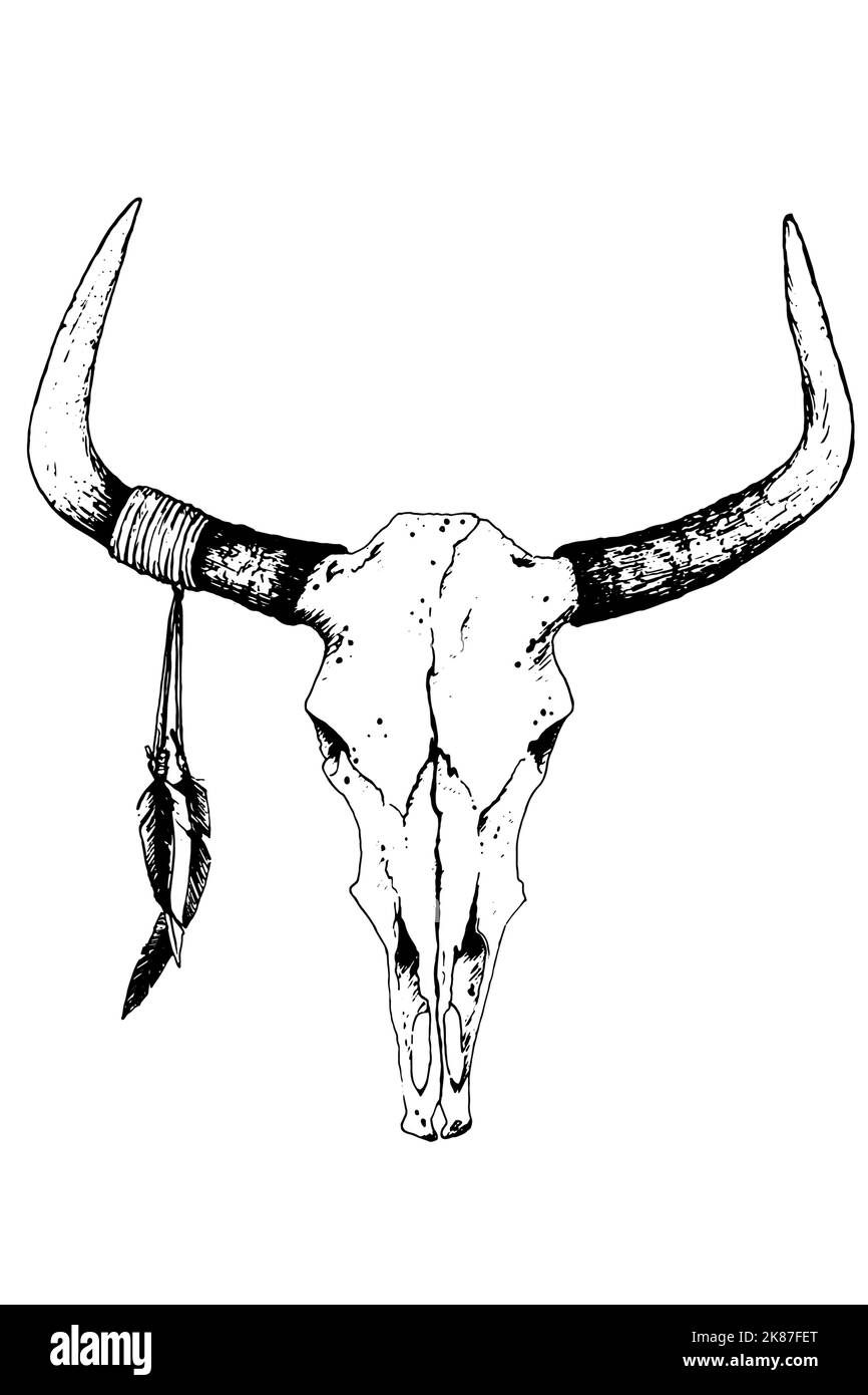 Vintage Bull Skull Head Sketch in a Hand-drawn Style. Black on White illustration in a minimalist bohemian style. Stock Photo