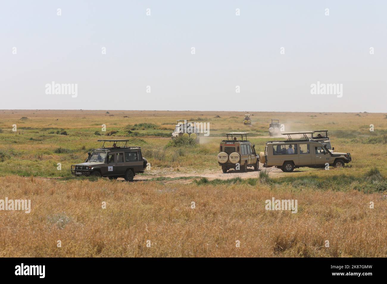 SERENGENTI PARK TANZANIA Stock Photo