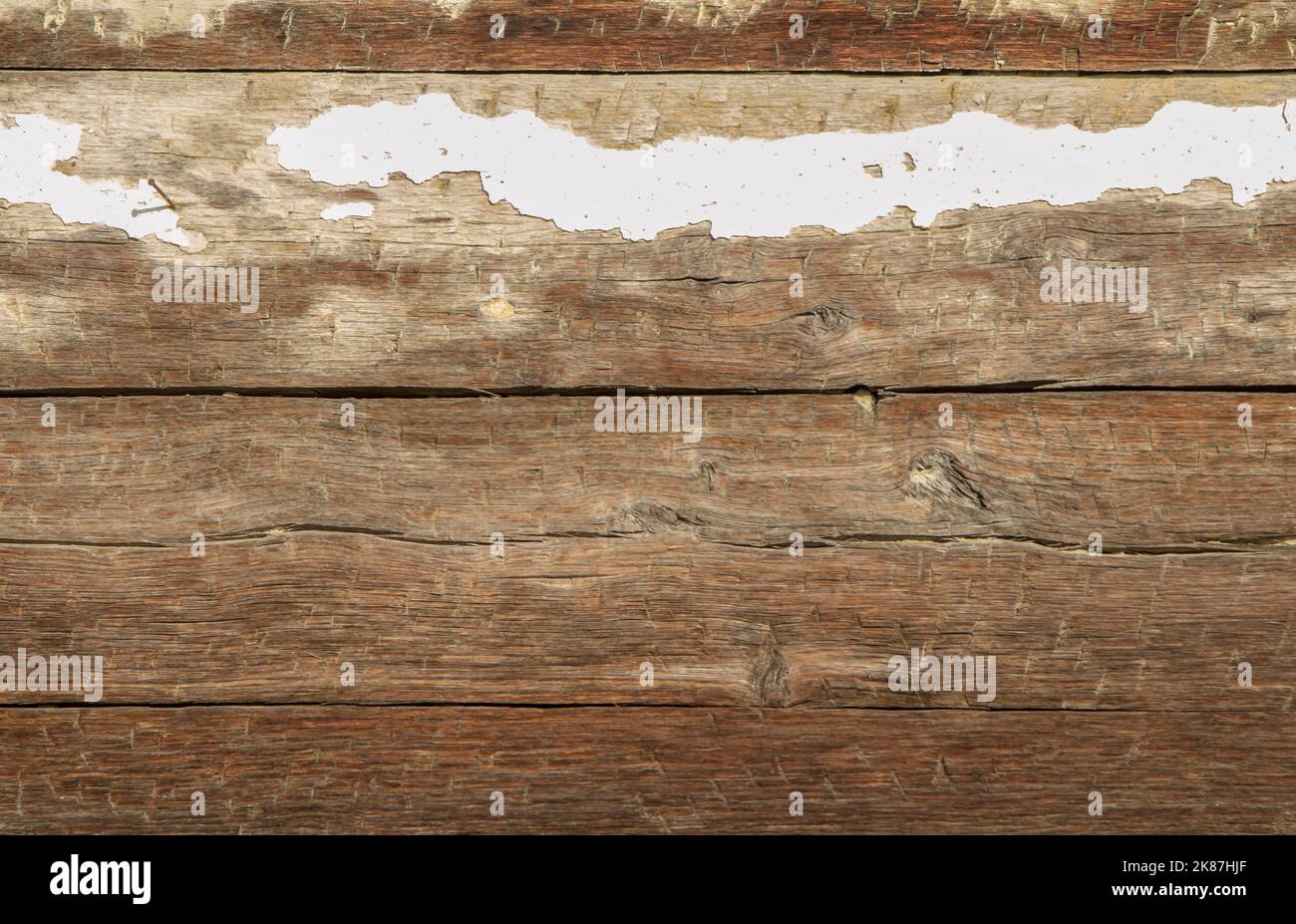 Gallery image with a fresh perspective