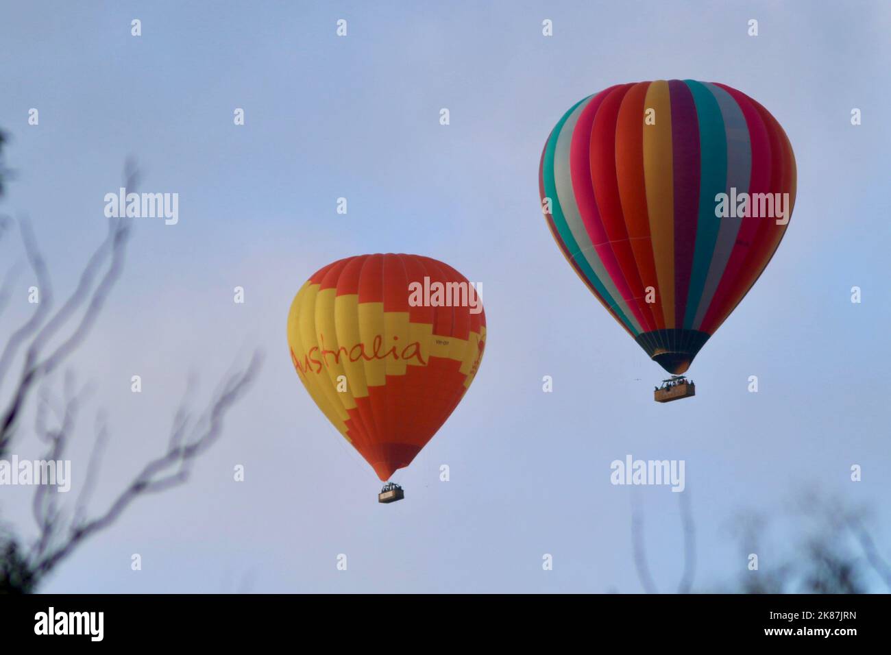 Hot air balloons flying low in Yarra Valley, Victoria, Australia Stock Photo