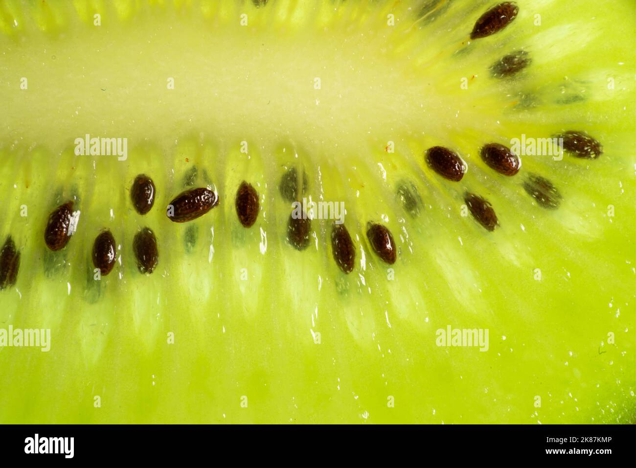 Slice of fresh juicy kiwi fruit with seeds close up, macro background.  Stock Photo