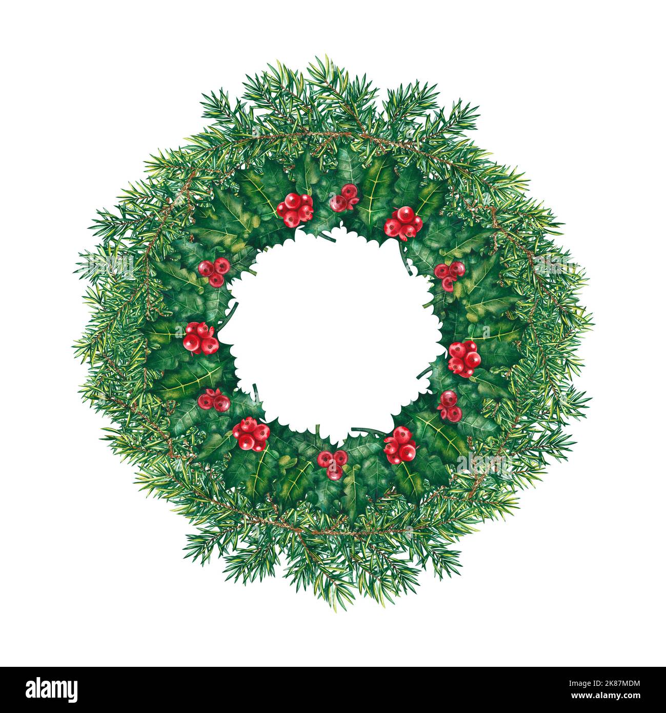 A wreath of fir branches and holly. Watercolor illustration. For the ...