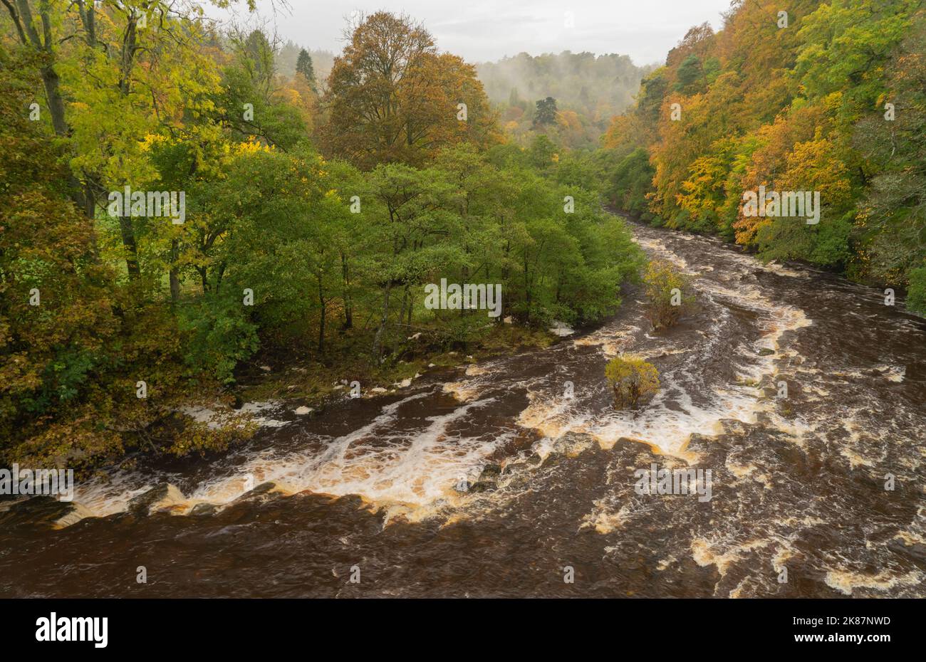 River Allen at Staward Gorge in Northumberland, UK Stock Photo - Alamy