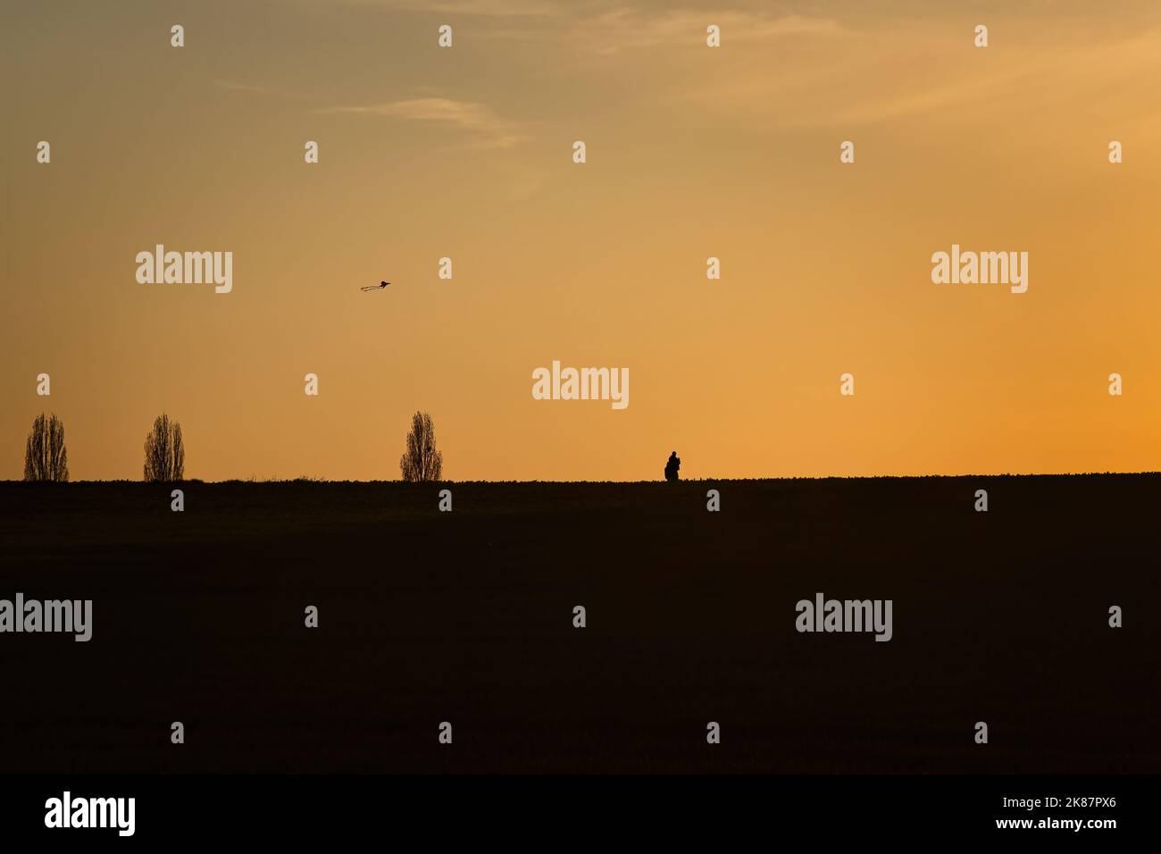 Kite flying in the sunset Stock Photo