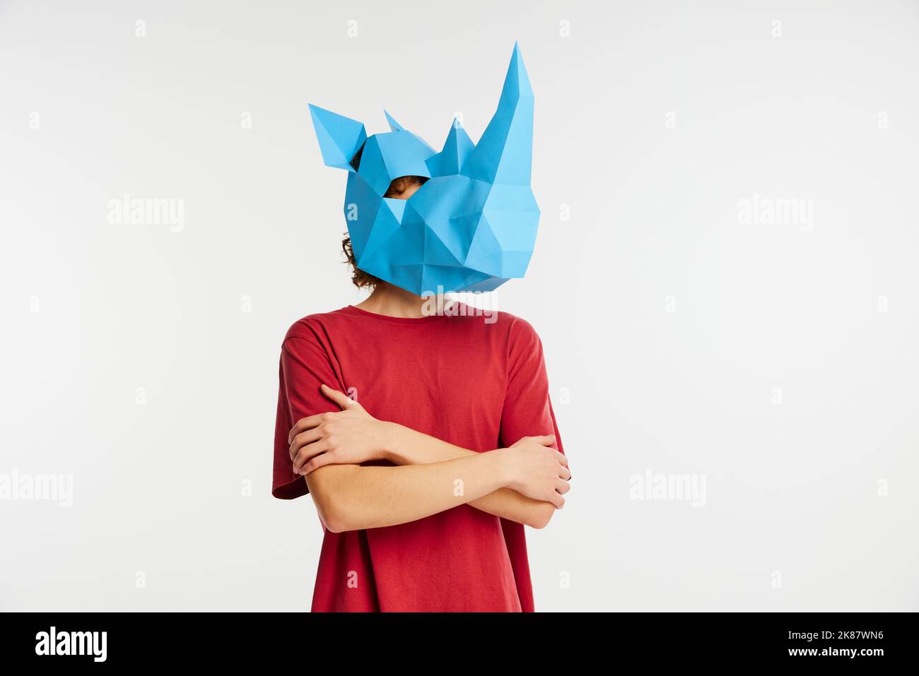 Follow your dreams with confidence. Young man in red t-shirt with cardboard animal mask on his head isolated on white background. Stock Photo