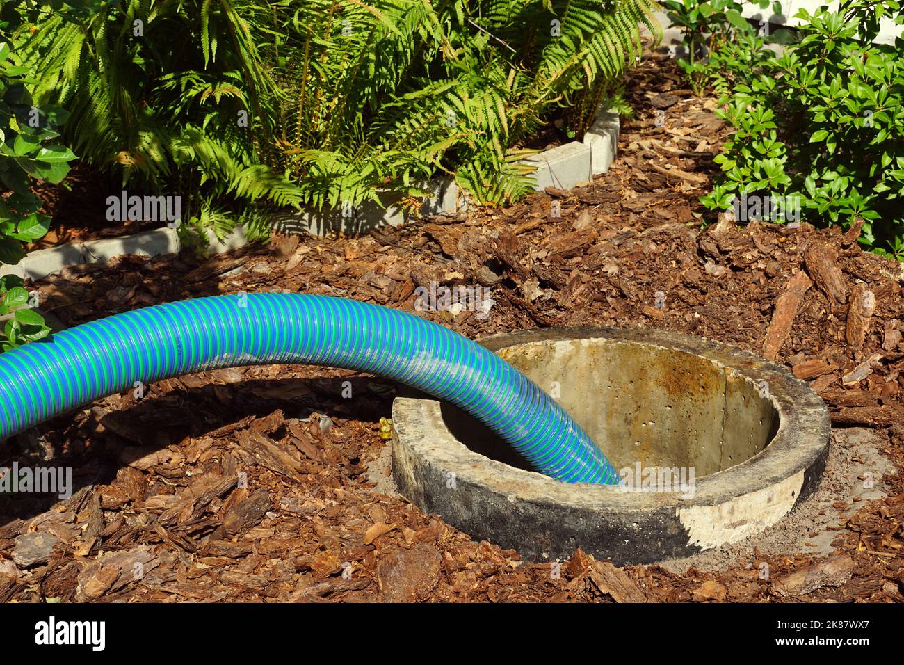 Pumping out sewage from a septic tank. Pipe in the drainage pit. Stock Photo