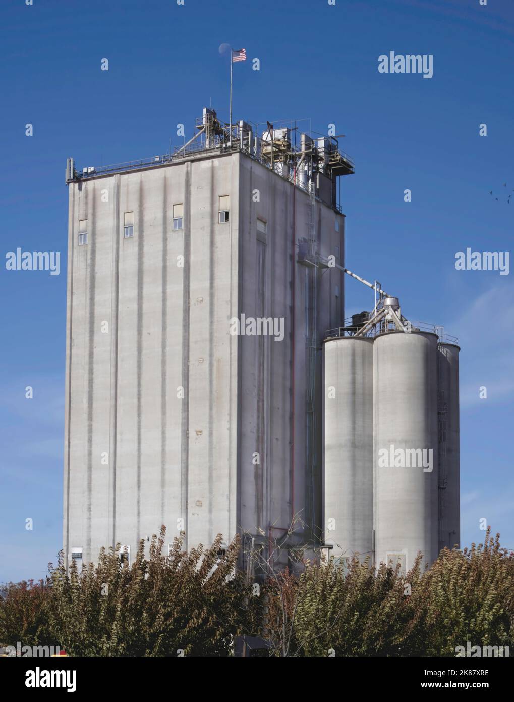 Grain silo for corn Stock Photo Alamy