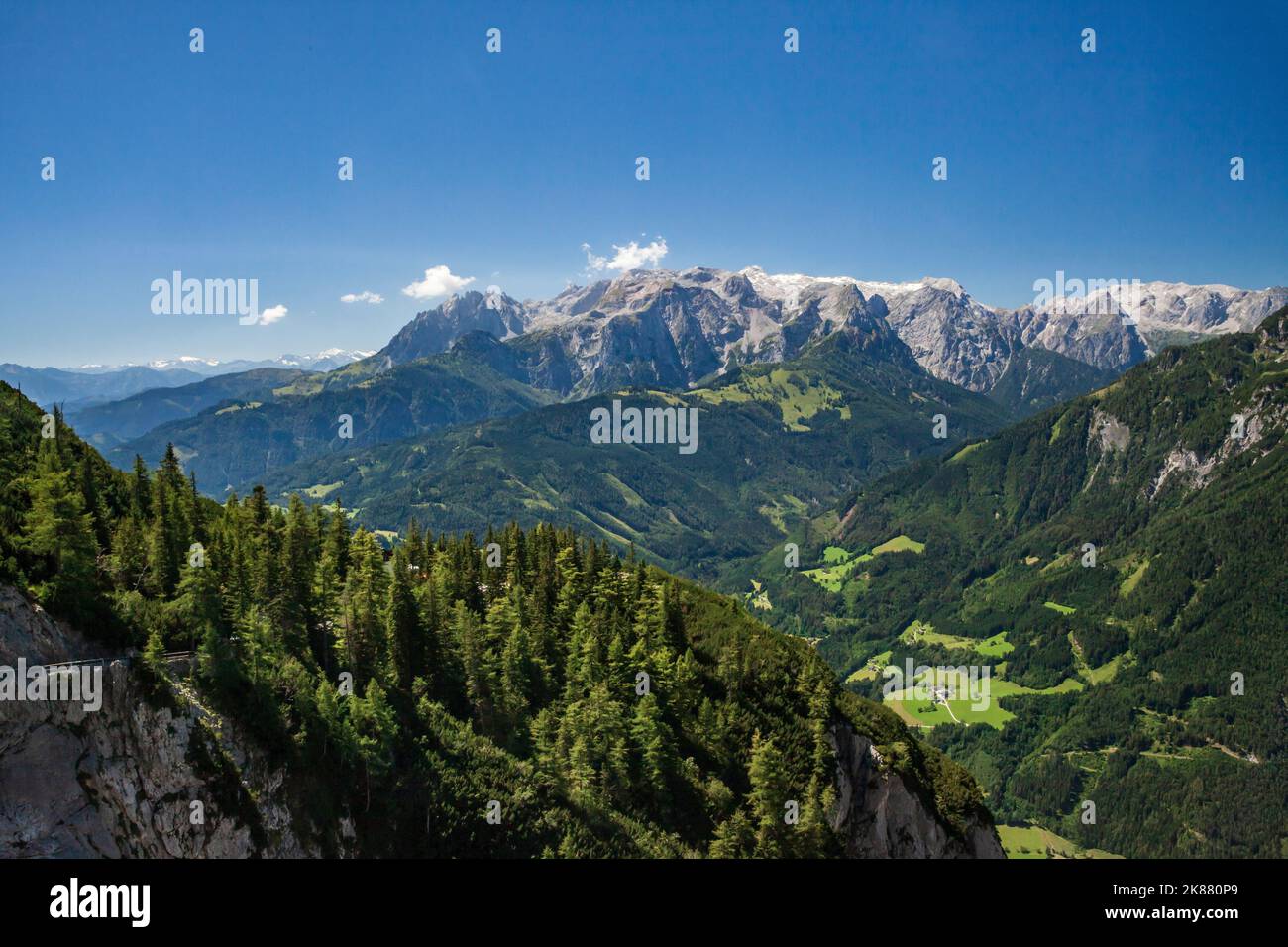 An aerial view of the Alps covered with green forests on a sunny day ...