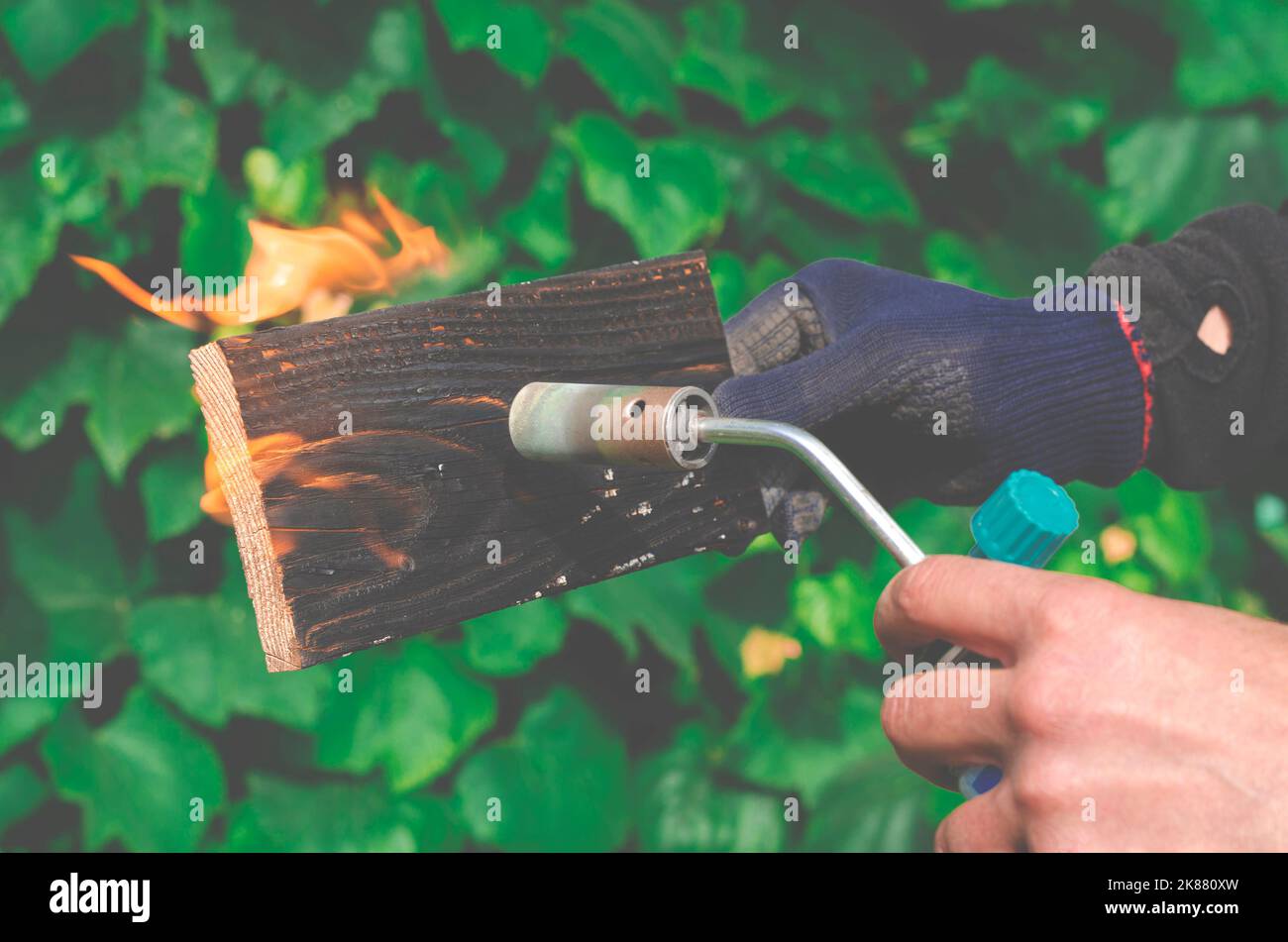 Wood treatment with gas burner fire. DIY process Stock Photo Alamy