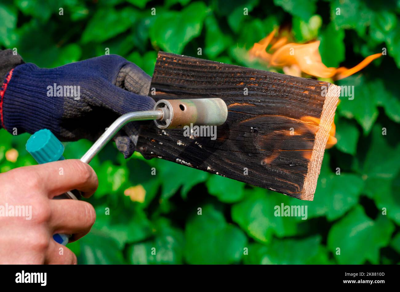 Wood treatment with gas burner fire. DIY process Stock Photo Alamy