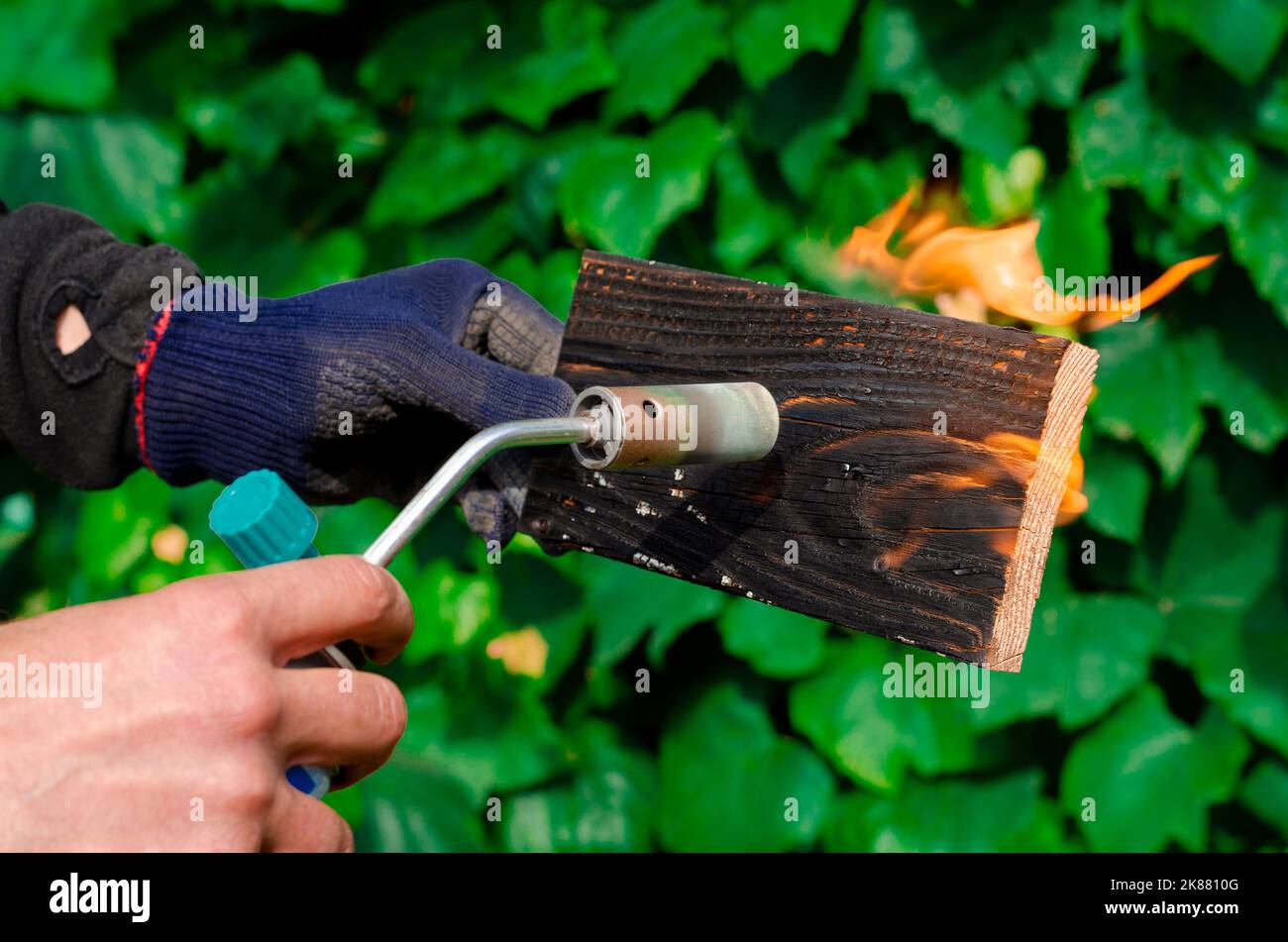 Wood treatment with gas burner fire. DIY process Stock Photo Alamy