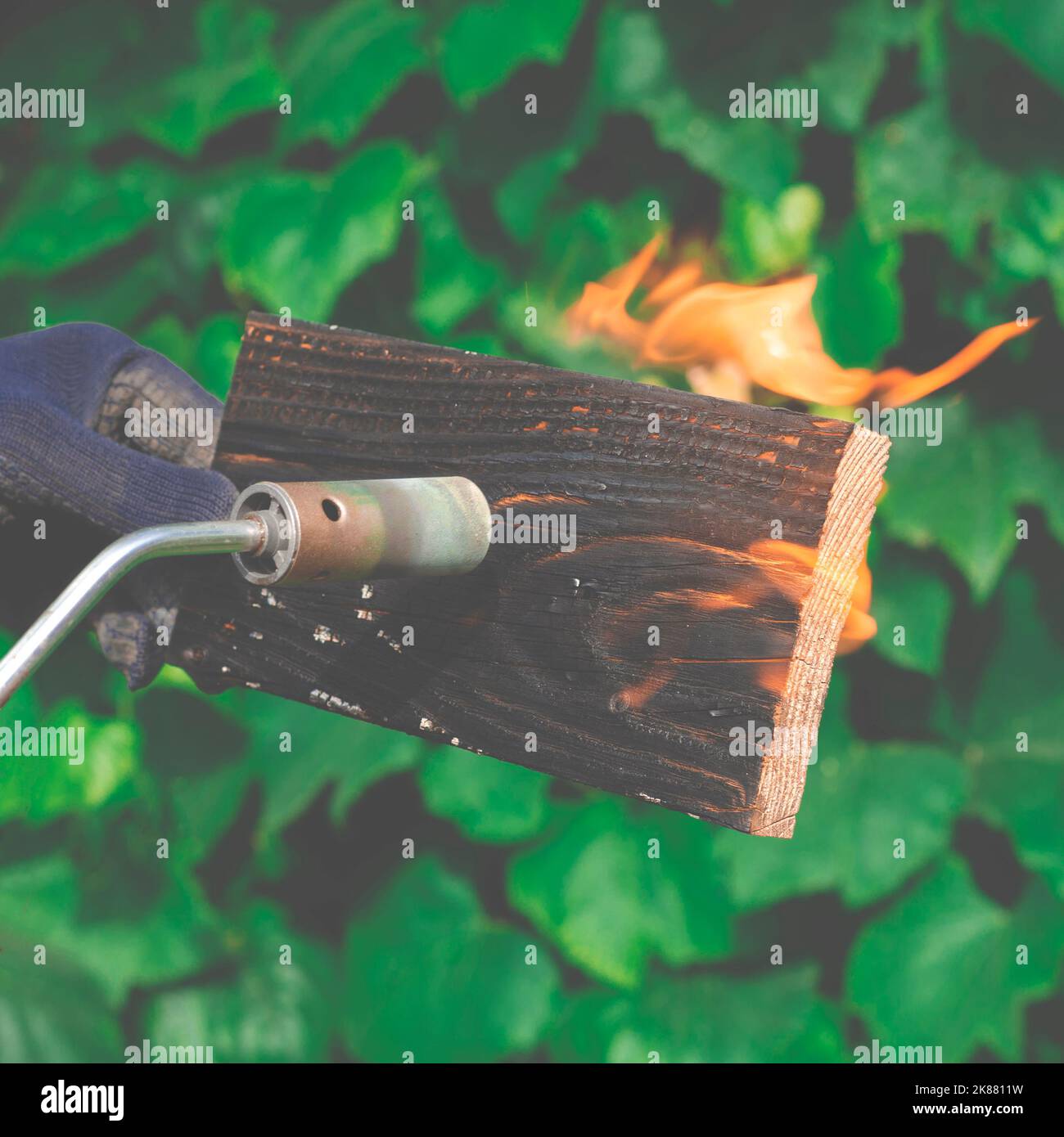 Wood treatment with gas burner fire. DIY process Stock Photo Alamy