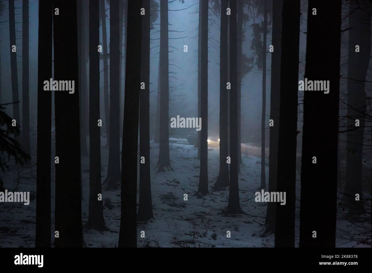 A mesmerizing view of a snowy forest at dusk with a foggy road Stock ...